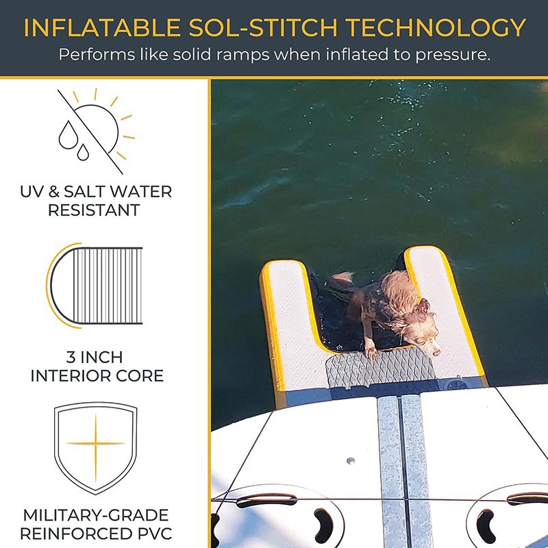 Dog Dock Diving Training Near Me